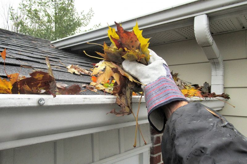 Close-up of Gutter Debris Removal